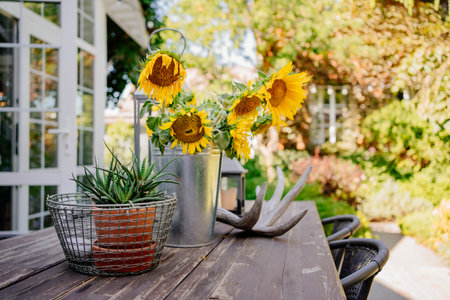 outdoor table decor in rustic style with sunflowers in a bucket and mini aloeの写真素材