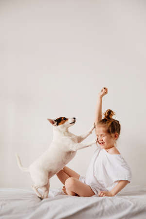funny kid girl feeds with palm of hand a dog in white bed. dog is falling.の写真素材