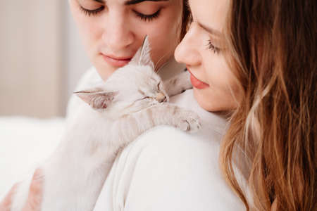 A beautiful couple of young lovers holding a small white kitten.の写真素材