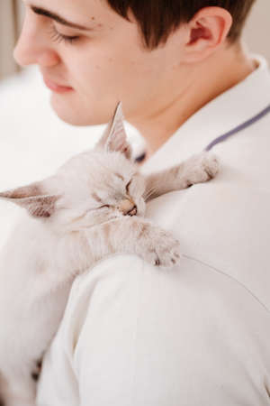 a young man holds a small white kitten and petting him. nevsky masquerade cat.の写真素材