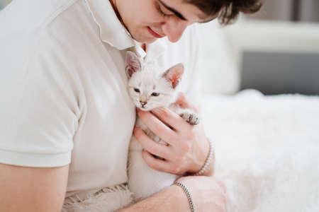 a young man holds a small white kitten and petting him. nevsky masquerade cat.の写真素材