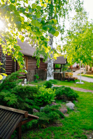 selective focus on birch branch. walkway through lawns to houses in a village.の写真素材
