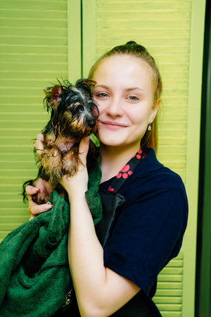 Groomer with Yorkshire Terrier. extras at the pet storeの写真素材