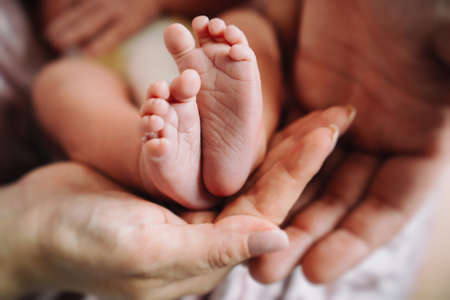 small legs of a newborn baby in the hands of parents.