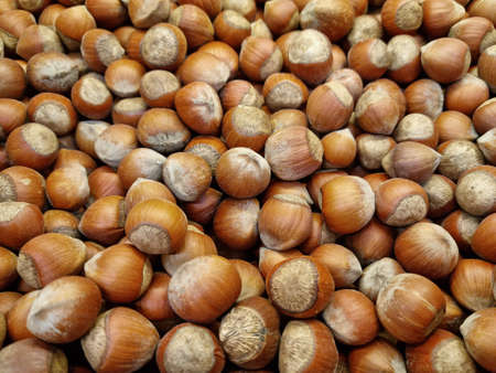 unpeeled hazelnuts. background and texture. agriculture. supermarketの写真素材