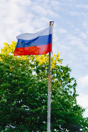 Russian flag in the wind against the blue sky and trees.の写真素材