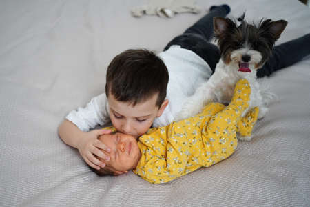 older brother with dog kisses newborn sister. birth of second child in family.の写真素材