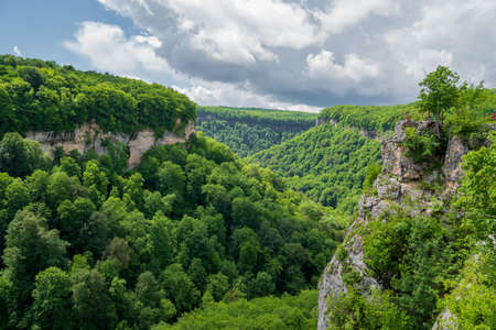 mountains covered with green trees. trips to the mountains in the spring.