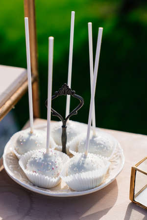 cake pops. desserts in the open air. candy bar for wedding or party.