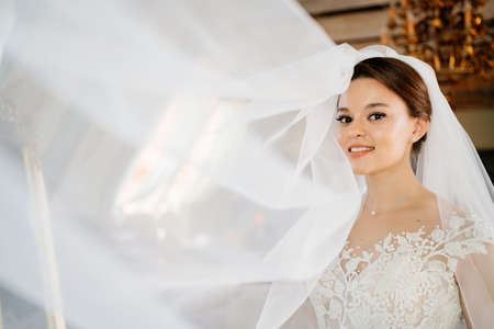 portrait of a beautiful and gentle bride with a long veil. femininity and beauty