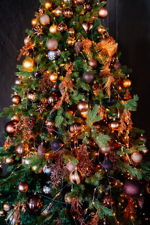 big beautiful elegant Christmas tree in the interior.の写真素材