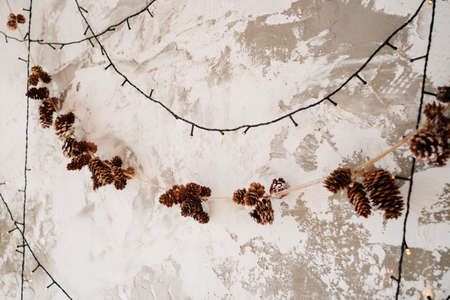 garland of cones and garland with light bulbs on the wall with plasterの写真素材
