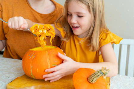 a little girl takes out a spoonful of seeds from the pumpkin for Halloween.の写真素材