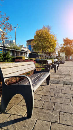 bench on the path in the park or on the alley. walks around the autumn city.の写真素材