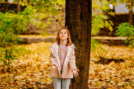 a cute little girl juggling chestnuts in autumn park with chestnuts in her handsの写真素材
