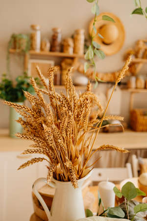 spikelets of wheat in a white retro jug on the kitchen table.