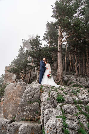 a beautiful newlyweds cuddling on rock in mountain forest. honeymoon.の写真素材