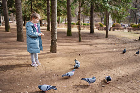 a little girl in a blue coat feeds pigeons bread in the park.