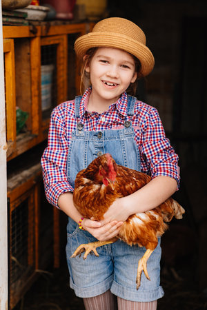 a little girl holds a red hen in a chicken coop. laying hen.の写真素材