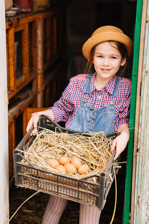 child farmer holds a nest with chicken eggs in his hands in a chicken coop.の写真素材