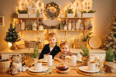 pretty little girl and boy at the kitchen table. christmas decorの写真素材