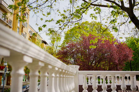 Spring Park. red blossoming tree. beauty of spring nature. walks around city.の写真素材