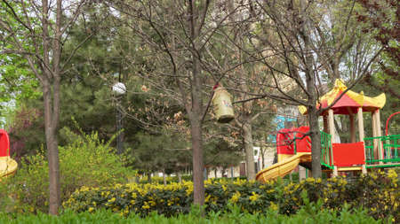 homemade bird feeder on a tree near the playground.