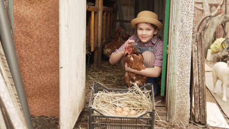 a little girl holds and strokes a red hen near a nest of eggs. laying hen.の写真素材