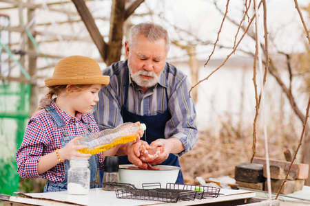granddaughter helps grandfather cook barbecue and pours sunflower oil on meatの写真素材