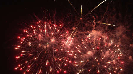 Beautiful fireworks display in the night sky.