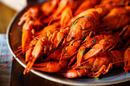 an appetizer with beer from whole boiled river crayfish.の写真素材