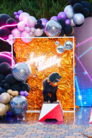 circus performance with trained dogs. entertainment for holiday.