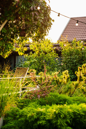 A garland with light bulbsin the country houses garden.の写真素材