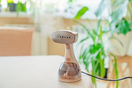 Working portable hand steamer for clothes. steam for ironing clothes.の写真素材