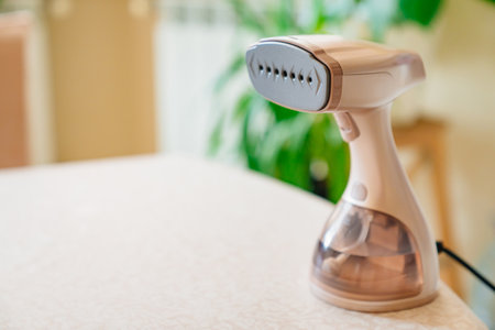 portable hand steamer for clothes. steam for ironing clothes.の写真素材