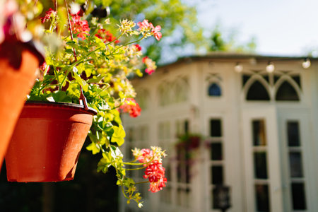 pots with flowers on gazebos in the park. plants for decorating the exterior.の写真素材