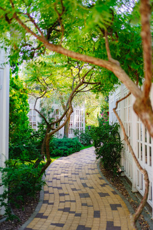 walkway between white glazed gazebos in the park. Landscaping.の写真素材