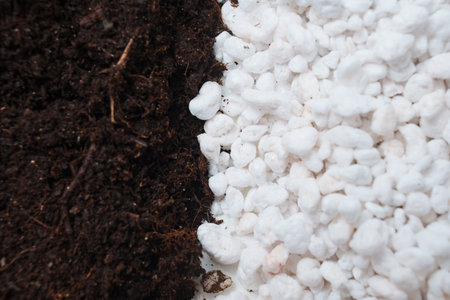 soil and Perlite for plants. neutral material of volcanic originの写真素材