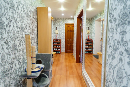 the hallway with a house for a cat, large mirror and a hanger for outerwearの写真素材