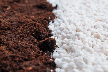 soil and Perlite for plants. neutral material of volcanic originの写真素材
