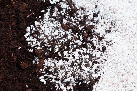 mixed soil and Perlite for plants. neutral material of volcanic originの写真素材