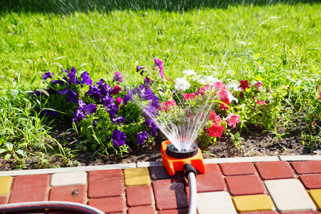 Automatic watering system on the lawn. watering heads and pipesの写真素材