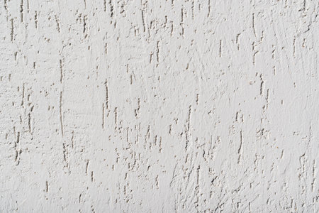 The surface of the wall with the texture of decorative plaster.の写真素材