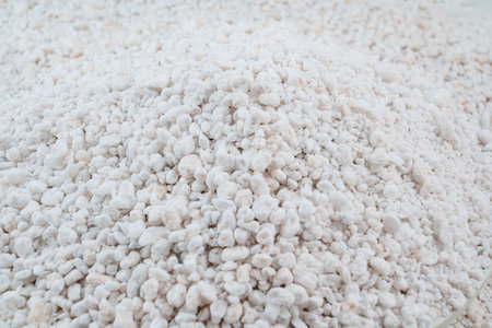 Perlite for plants. neutral material of volcanic originの写真素材
