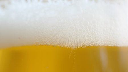 close-up. Air bubbles rise up from the bottom of the glass of beer.の写真素材