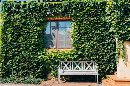bench by the beautiful country house braided with ivyの写真素材