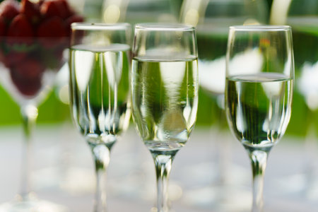 Champagne glasses on the buffet table. Table setting for a buffet at a party.の写真素材