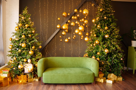 A green sofa in a room between Christmas trees. New Year's holiday decor for the home.の写真素材