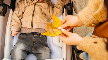 An adults hands hold yellow autumn leaves over a child sitting in a stroller.の写真素材