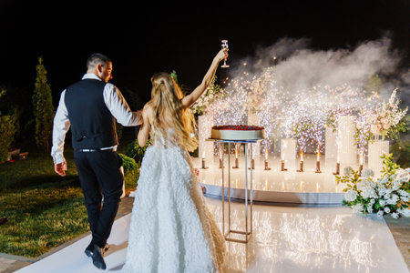 Bride and groom with a large round cake with berries. fireworksの写真素材